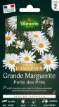 Fleuri - Pelouse Suisse - Paquerettes (x2) + Grande Marguerite Perle des Prés Offerte - MEDIA_EN_SITUATION_1